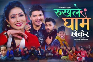 भाइरल गाइका कल्पनाले अमित बाबु, डिजे, रेशमको अहिले सम्मकै उत्कृष्ट रुख्ले घामै छेकेर