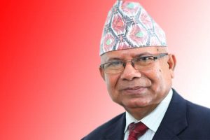 ‘साइबर स्याल’देखि होसियार ! : नेपाल