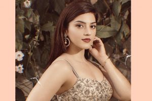 दक्षिण भारतीय अभिनेत्री मेहरिन पिरजादाको इंगेजमेन्ट टुट्यो