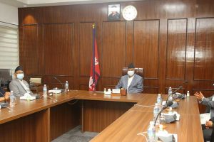 मन्त्रिपरिषद् बैठक : सत्य निरुपण र बेपत्ता आयोगमा ७९ अस्थायी दरबन्दी सिर्जना