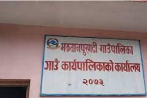 धितो दिन नसक्नेका लागि गाउँपालिकाले दियो किसान क्रेडिटकार्ड