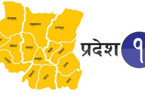 झापाका दश पालिकामा सिलबन्दी