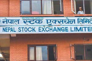 नेप्सेमा झिनो सुधार, कारोबार रकम १५ अर्ब ९३ करोड