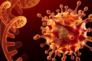 थप २०५ जनामा कोरोना संक्रमण, ४३६ जना डिस्चार्ज