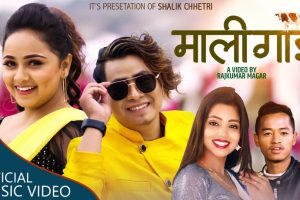 कुशल रेकर्डिस्ट तथा मोडेल सुमन राना मगर करिश्मा ढकाल/को अभिनय मा माली गाई,,, हेर्नुस भिडियो सहित ,,,