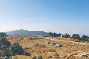 चिया बगान मासेर खनिएको सडक बन्द गरियो