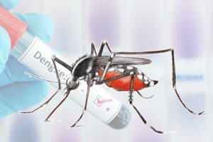 डेङ्गुबाट बच्ने उपायसहित सत्यवती गाउँपालिकाले सार्वजनिक सूचना जारी
