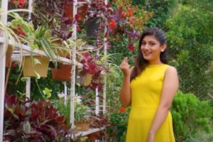 लिटिल च्याम्सकी विजेता कृपाको पहिलो गीत  ‘तिमि सग एक छिन’ सार्वजनिक (भिडियो  )