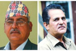 नेपाल स्रष्टा समाजद्वारा दुई सम्मानको घोषणा