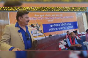 भुवन केसीको गुनासो : अधिकार नै छैन कसरी काम गर्ने ?