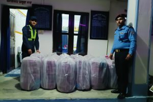 सब्जी बोक्ने मिनिट्रकबाट लागुऔषध गाँजा बरामद