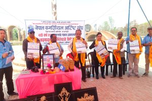 ‘आर्टिष्ट कलाकारलाई स्थानीय स्तरबाट संरक्षण गर्नुपर्छ’
