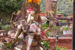 जापानको नेवाः वगैंचामा पुष्प मेला