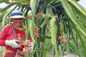 आजका मनै छुने तस्विरहरु