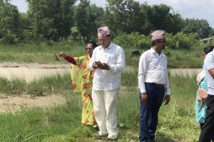 काजु खेतीमा उपमेयर