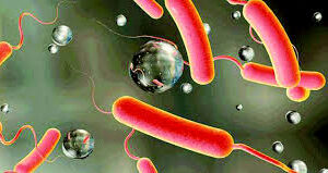 देशभर १० जनामा हैजा सङ्क्रमण, सरसफाइमा विशेष ध्यान दिन विज्ञको सुझाव   