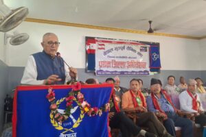 वर्तमान सरकार ढल्दैन तर सरकार सरकार जस्तो भएर चल्नुपर्छ ः कोइराला