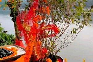 दामोदरसँग गरियो तुलसीको विवाह