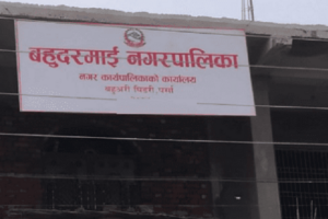 पर्साको बहुदरमाई नगरपालिकाका कर्मचारी र शिक्षकलगायतले साउनदेखि तलब भत्ता पाएनन्