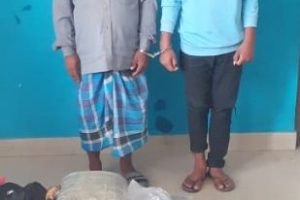 ४५ किलो गाँजासहित विराटनगरबाट दुई जना पक्राउ