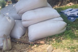 सिरहामा शिकारीले फालेको दुईथान बन्दुक फेला