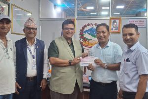 महानगरको सडक सौन्दर्यकरणमा इन्भेष्टमेन्टको पनि सहयोग