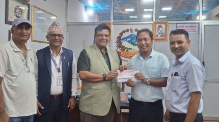 महानगरको सडक सौन्दर्यकरणमा इन्भेष्टमेन्टको पनि सहयोग