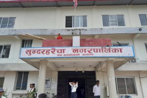 सुन्दरहरैंचा नगरपालिकाले उत्कृष्ट ढुकुर जोडीलाई सम्मान गर्ने