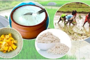 आज धान दिवस, दही चिउराको सांस्कृतिक पर्व मनाइँदै