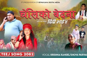 तीजको सांगीतिक माहोलमा ‘छेलिको बेदना (दिदी भाइ ४)’ सार्वजनिक